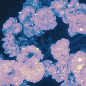 李思思av一区二区三区
